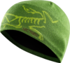 Arcteryx Bird Head Toque Adiantium/Mantis Green