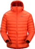Arcteryx Mens Cerium LT Hoody Chipotle