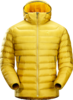 Arcteryx Mens Cerium LT Hoody Golden Palm