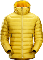 Arcteryx Mens Cerium LT Hoody Golden Palm