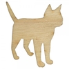 Craft Shapes Cat