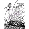 DaliArt DaliART Clear Stamp Meadow Flowers A6