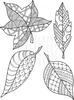 Lindsay Mason Designs Leaves Set Ready To Go Clear Stamp