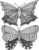 Lindsay Mason Designs Zendoodles Butterflies Ready To Go Clear Stamp
