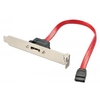 1 Port eSATA Backplate Adapter,  0.25m