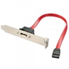 1 Port eSATA Backplate Adapter,  0.35m