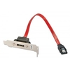 1 Port eSATA Low Profile Backplate Adapter,  Latching,  0.25m