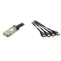 1m SAS/eSATA II Multilane Cable (SFF-8470 to eSATA)