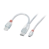 2m USB 2.0 Dual Power Cable - 2 x Type A (20cm apart) to Mini-B