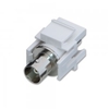 BNC Keystone,  Pack of 2
