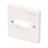 CAT5e Single Wall Plate with 1 x Angled RJ-45 Shuttered Socket,  Unshielded