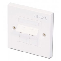 CAT5e Single Wall Plate with 2 x Angled RJ-45 Shuttered Socket,  Unshielded
