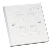 CAT5e Single Wall Plate with 2 x RJ-45 Shuttered Socket,  Unshielded