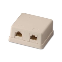 CAT6 Double Wall Mount Box UTP,  RJ-45,  T568A/T568B