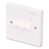 CAT6 Single Wall Plate with 2 x Angled RJ-45 Shuttered Socket,  Unshielded