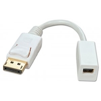 DisplayPort Male to Mini DisplayPort Female Adapter Cable