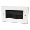 Double Gang Brush Face Plate