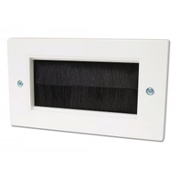Double Gang Brush Face Plate
