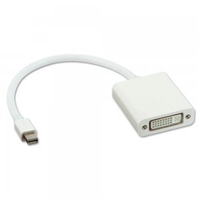 Mini DisplayPort to DVI-D Adapter