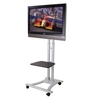 Mobile Plasma & LCD Trolley