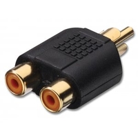 RCA/Phono Male to 2 x RCA/Phono Female Audio Adapter