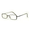 Bronze Frame Jeweled Computer Glasses with Case