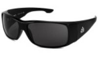 Hawk Sunglasses