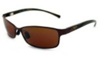 Shoreline Sunglasses