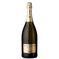 Valdobbiadene Prosecco Superiore Brut Cuvée Del Fondatore 2020 Magnum