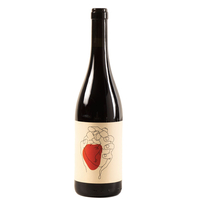 Veneto Igp Rosso Lottai 2019