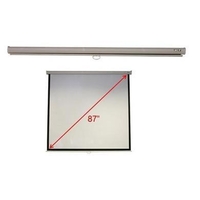 Acer 70 Inch Wall & Ceiling Matt White Manual Screen