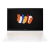 Acer ConceptD 3 Ezel Pro CC314-72P-77ED Core i7-10750H 16GB 1TB SSD 14 Inch FHD Touchscreen Quadro T1000 4GB Windows 10