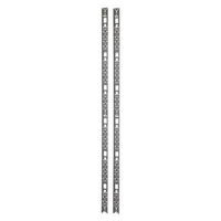APC NetShelter SX rack cable management panel (vertical) - 42U