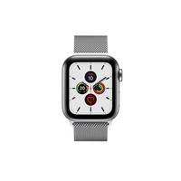 Apple Watch Series 5 GPS + Cellular 40mm Stainless Steel Case with Stainless Steel Milanese Loop