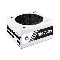 Corsair RM750x Wht 750W 80 PLUS Gold Mod