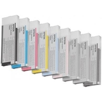 Epson T6066 - print cartridge