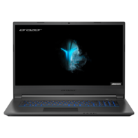 GRADE A2 - Medion Erazer P17613 Core i5-9300H 8GB 512GB SSD GeForce GTX 1650 17.3 Inch Windows 10 Gaming Laptop