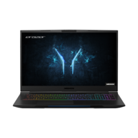 GRADE A3 - Medion P17815 Core i7-9750H 8GB 1TB HDD + 256GB SSD 17.3 Inch GeForce GTX 1660Ti Windows 10 Gaming Laptop