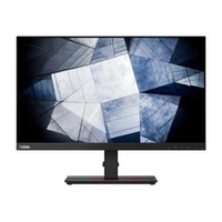 Lenovo ThinkVision P24h-20 23.8 QHD Monitors