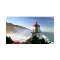 LG 49VL5B 49 IPS Full HD Video Wall Large Format Display