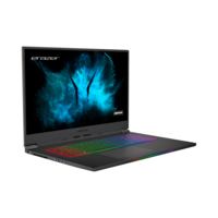MEDION Beast X25 Ryzen 7-5800H 32GB 1TB SSD 17.3 Inch QHD 165Hz GeForce RTX 3080 16GB Windows 10 Laptop