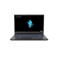 MEDION Defender NH77EPY-M Ryzen 5-5600H 16GB 512GB SSD RTX 3060 17.3 Inch Windows 10 Laptop