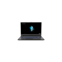 MEDION Defender NH77EPY-M Ryzen 7-5800H 16GB 512GB SSD RTX 3060 17.3 Inch Windows 10 Laptop