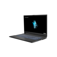 MEDION Defender NH77EPY-M Ryzen 7-5800H 16GB 512GB SSD RTX 3060 17.3 Inch Windows 11 Laptop