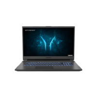Medion Defender P10 Core i7-10750H 16GB 512GB SSD 17.3 Inch GeForce GTX 1660 Ti Windows 10 Gaming Laptop