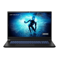 Medion Defender P20 Core i7-12700H 16GB 1TB SSD RTX 3060 17.3 inch Q165Hz Gaming Laptop