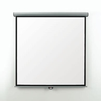 Metroplan Eyeline Electric Wall Screen - projection screen motorized