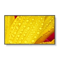 NEC ME551 55 4K UHD Large Format Display
