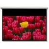 Optoma Panoview DE-9106EGA - projection screen motorized - 106 in