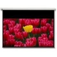 Optoma Panoview DE-9106EGA - projection screen motorized - 106 in